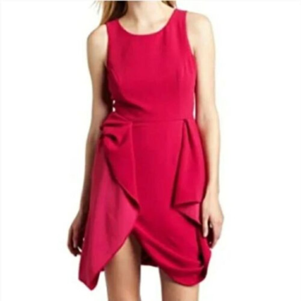 NWT BCBG MaxAzria Begonia Pink Gretchen Sheath Lined Dress Size 6